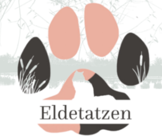 Fotograf von Katzen oder auch Tierfotograf. Fotoshooting Zuhause zu fairen Preisen. 