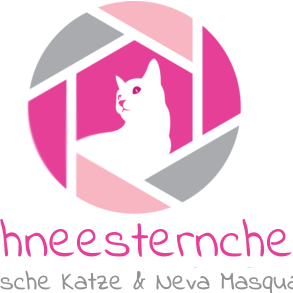 Seriöse Hobbyzucht Sibirischer Katzen und Neva Masquarade in Unna Ruhrgebiet. Allergikerfreundliche Kitten und Katzen.