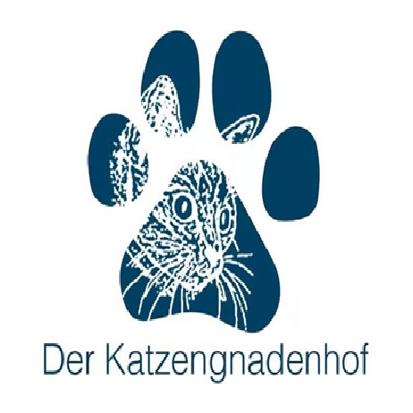 Tierschutz in Haltern und Marl. Katzengnadenhof. Katzen hoffen auf eine zweite Chance und ein Zuhause.